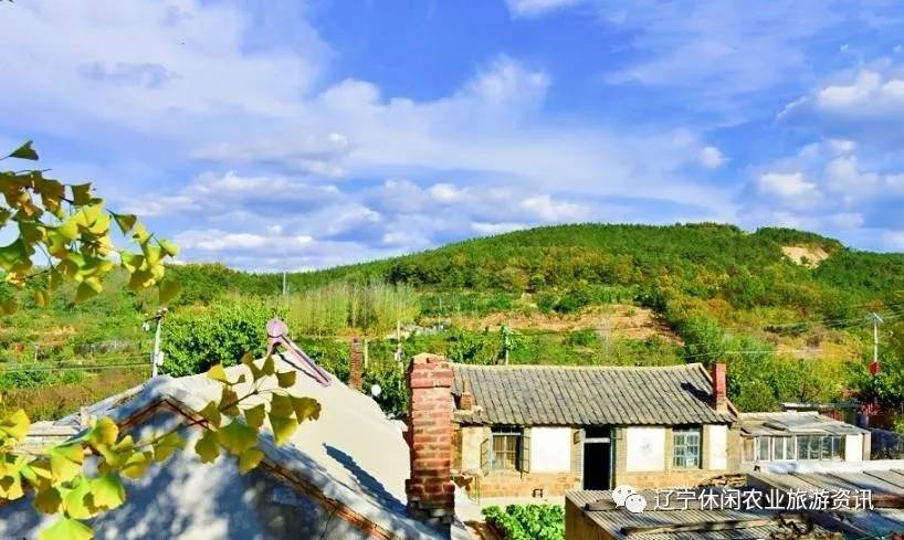 旅顺杏花村风景,旅顺杏花微雨醉春风