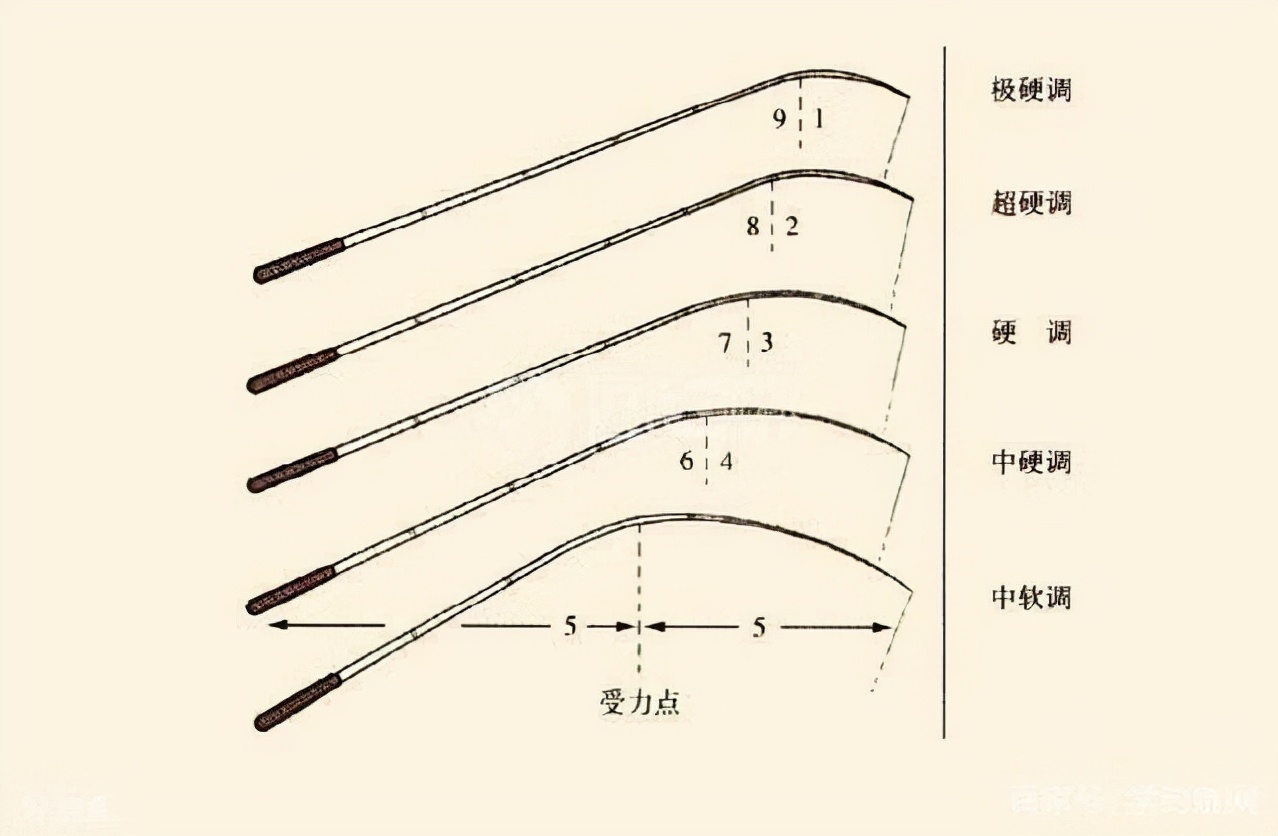新手学钓鱼最快方法,新手学钓鱼该买些什么东西