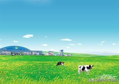 中国乳业之殇,中国乳业十年