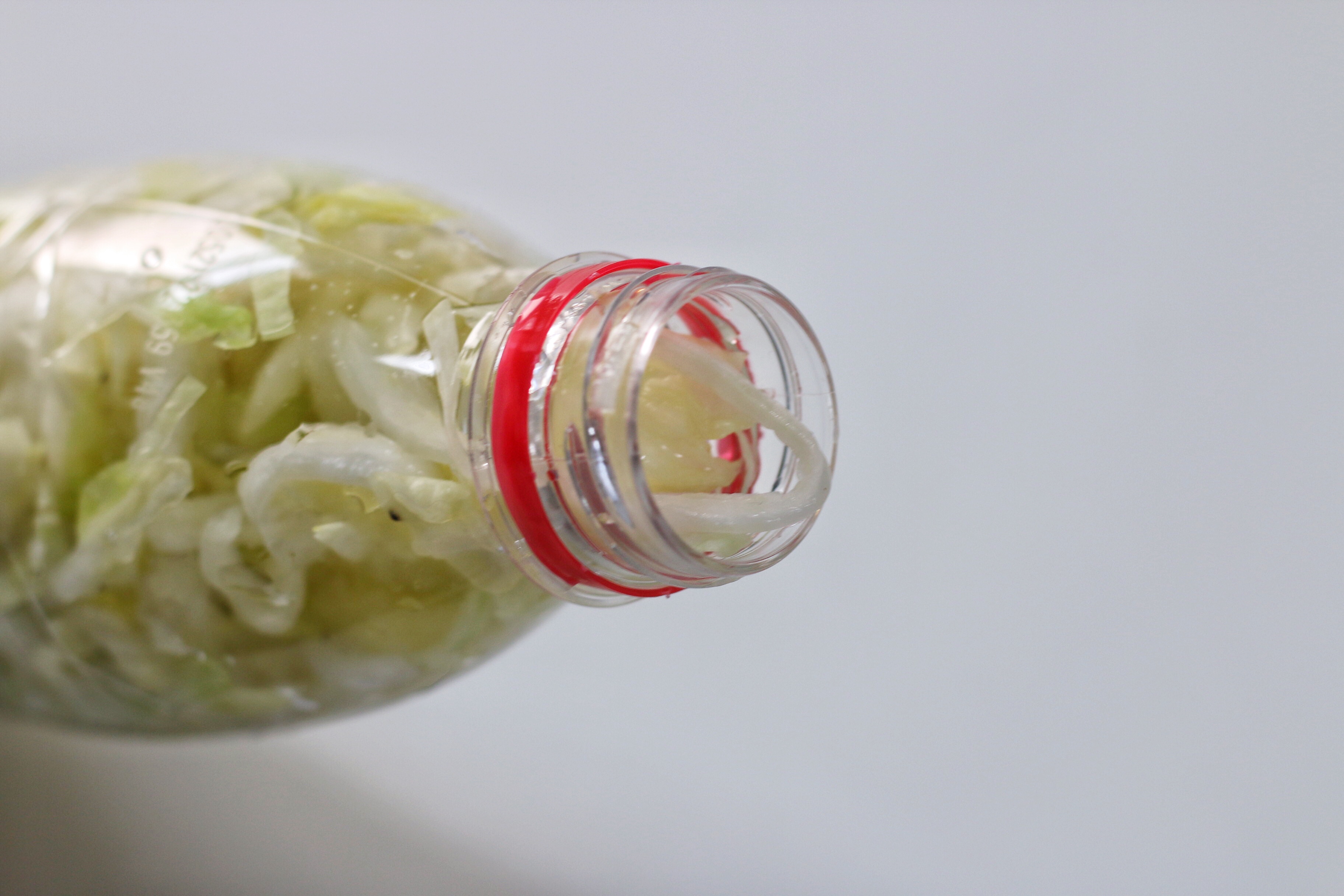 东北酸菜的腌制方法酸菜炖粉条,想吃老坛酸菜怎么做法