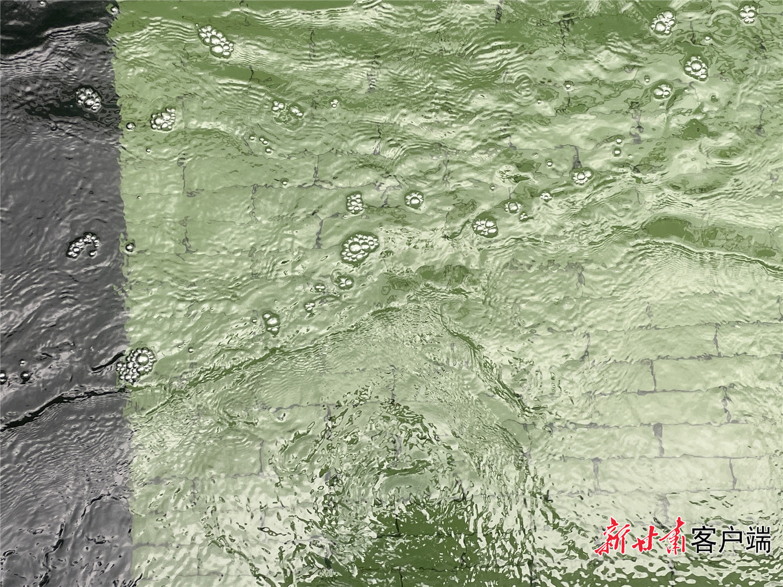 「2021生态环保行」啥?排放水质能养鱼是!这家污水处理厂很傲娇