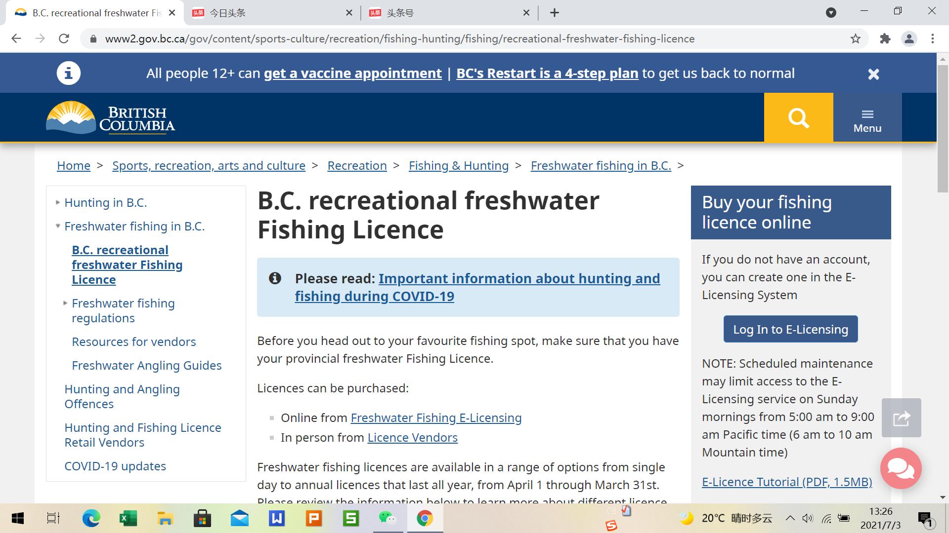 加拿大办理钓鱼证,加拿大钓鱼证