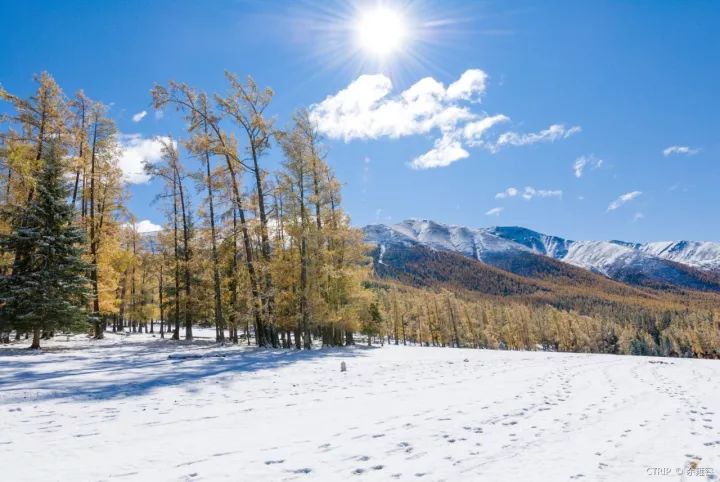 国内这7个绝美雪景地,看到第一个我就想去了!