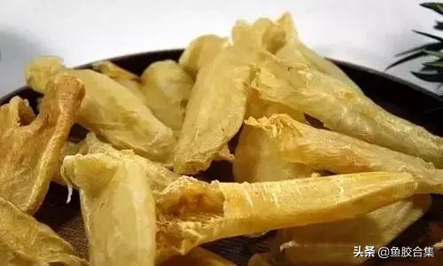 花胶的种类和区别,花胶一共有几种类型的品种