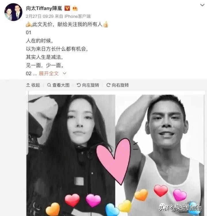 向太称郭碧婷答应生三个孩子,向太称郭碧婷要三胎