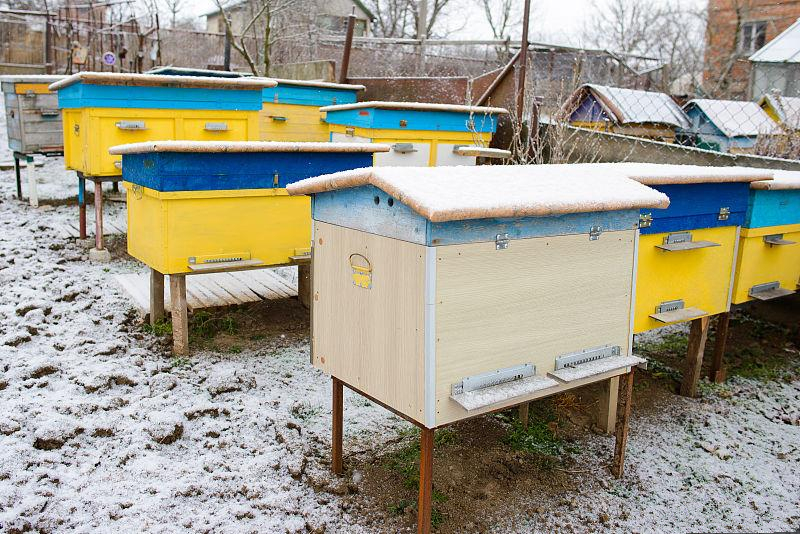 蜜蜂越冬养殖技术要点有哪些,蜜蜂养殖知识建立蜂场的最佳方法