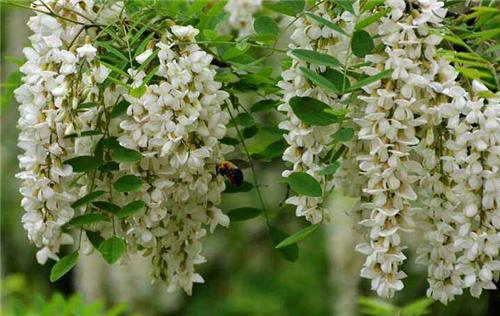 小时候吃过三种美食,吃五种童年零食