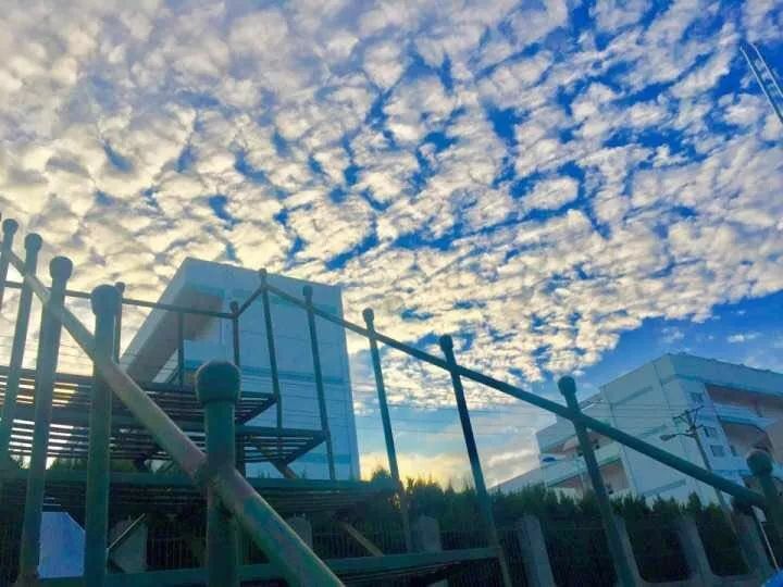 武汉市十大美丽中学,武汉十大美丽学校