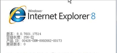 老电脑xp系统用哪个浏览器,大明系统