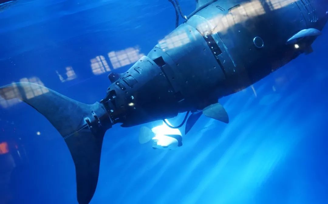 神造物用了7天，我在造物节逛了2天