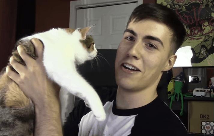 舔猫咪一口猫会有什么反应呢,猫咪特别容易舔毛是怎么回事