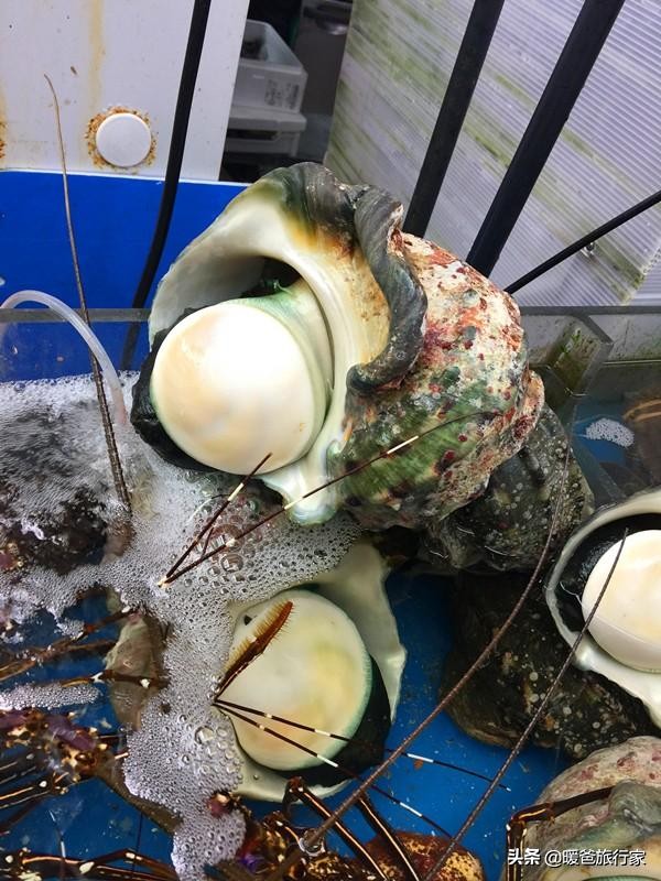 暑假带孩子去国外玩,寒假带孩子出国去哪里玩合适一些