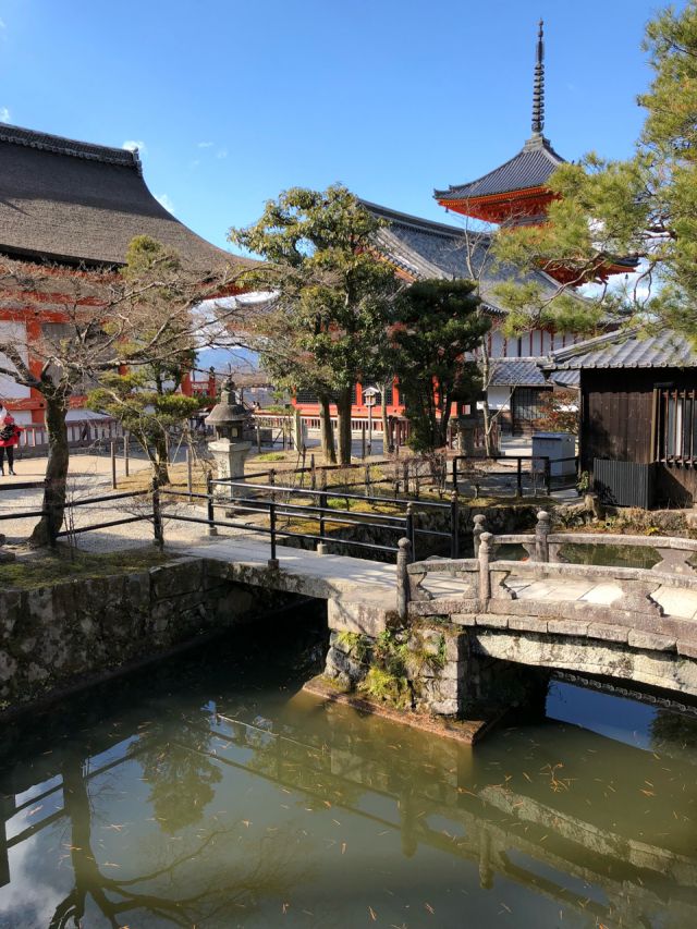 不会日语的日本自由行攻略,不会日语在日本怎么玩