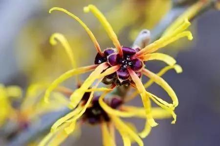 医美收毛孔价格表,医美收毛孔什么方法好