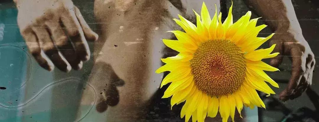 又嗨又深刻，这部豆瓣9.0的神作搁现在就是一部*片禁**