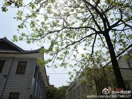 五通桥中学现状,五通桥中学回忆