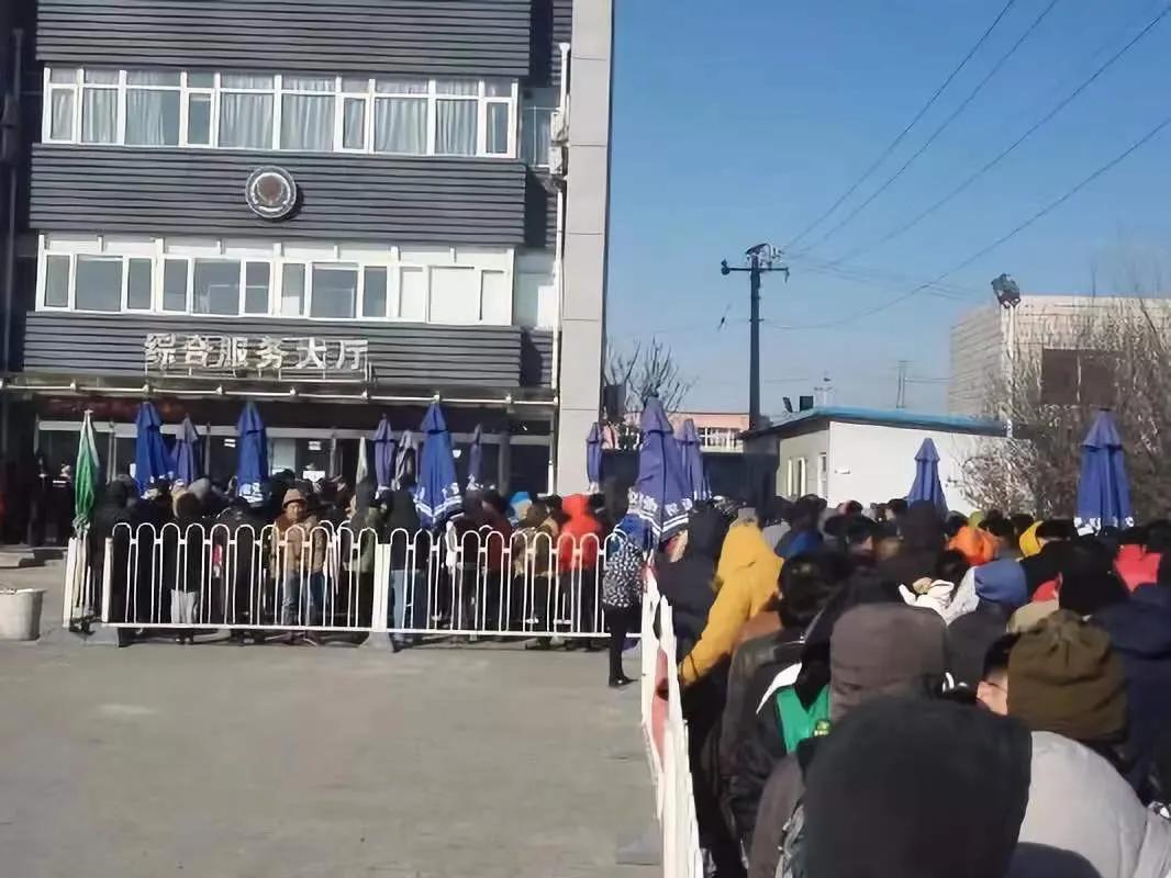 京牌摇号总人数,京牌摇号有哪些