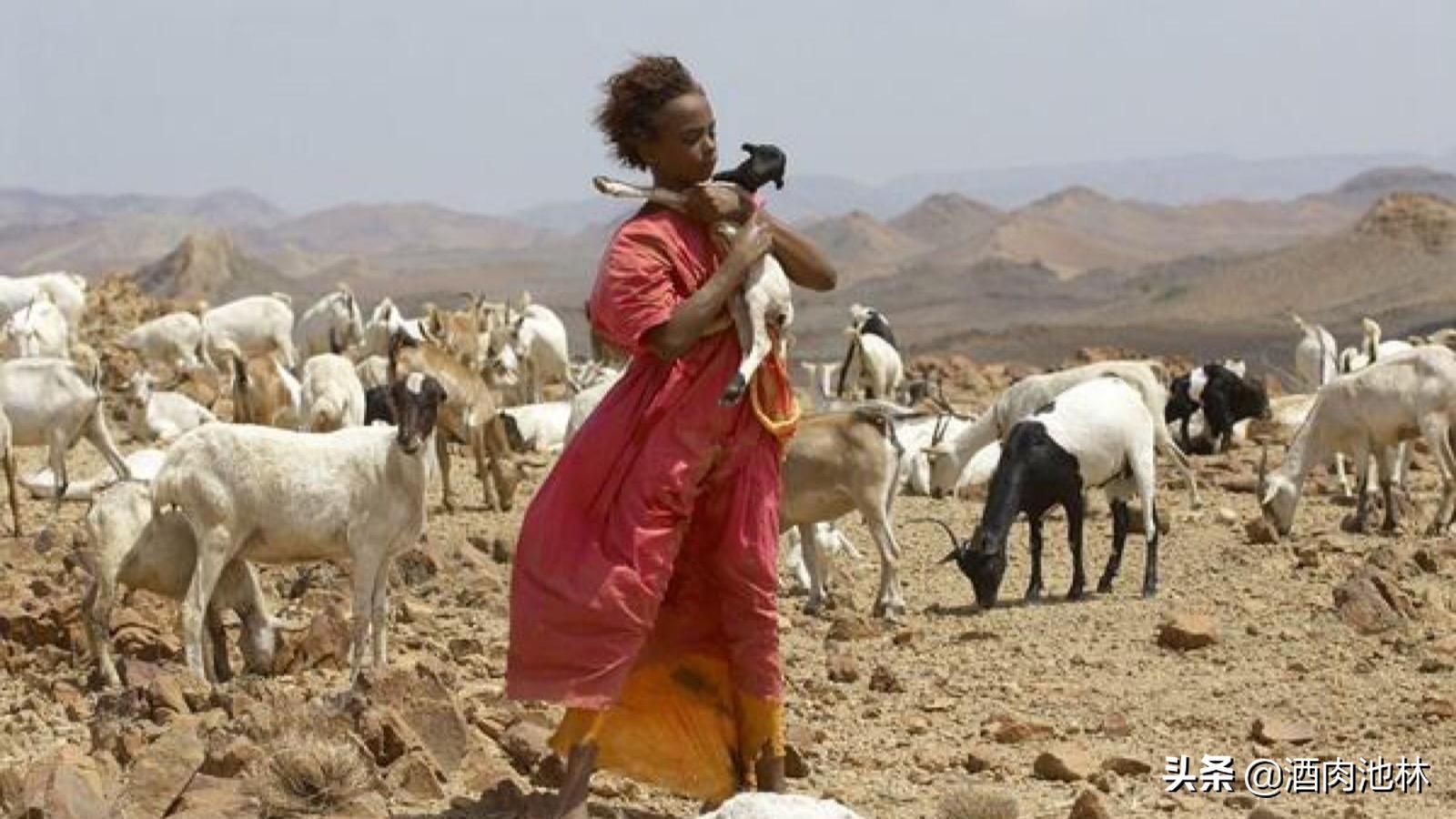 简述非洲女性最残忍的“成人礼”-割礼,它到底有多灭绝人性?