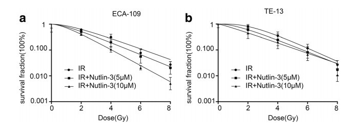 连云港第二人民医院发现Nutlin-3能增强P53对食管癌的放射敏感性