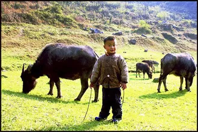 沅陵乡村放牛娃,放牛娃道县