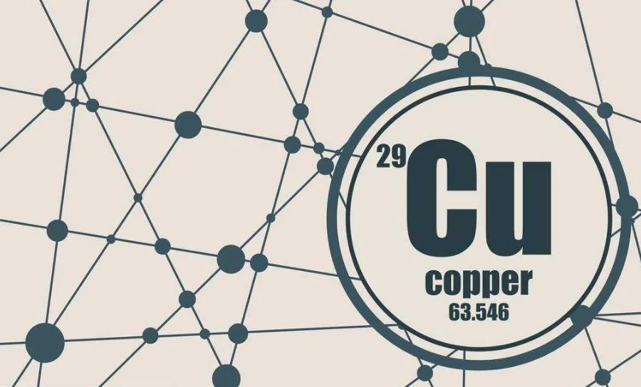 光脚不穿袜子穿鞋的好处,光脚不穿袜子会不会臭脚