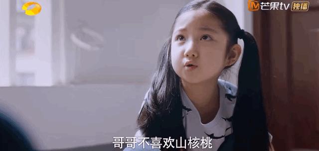 一家人以家人之名预告27-28,以家人之名以家人之名免费观看全集