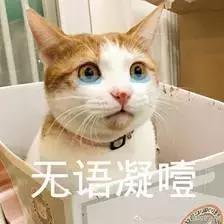 5种不同的抱猫姿势,女人抱猫睡觉的正确姿势