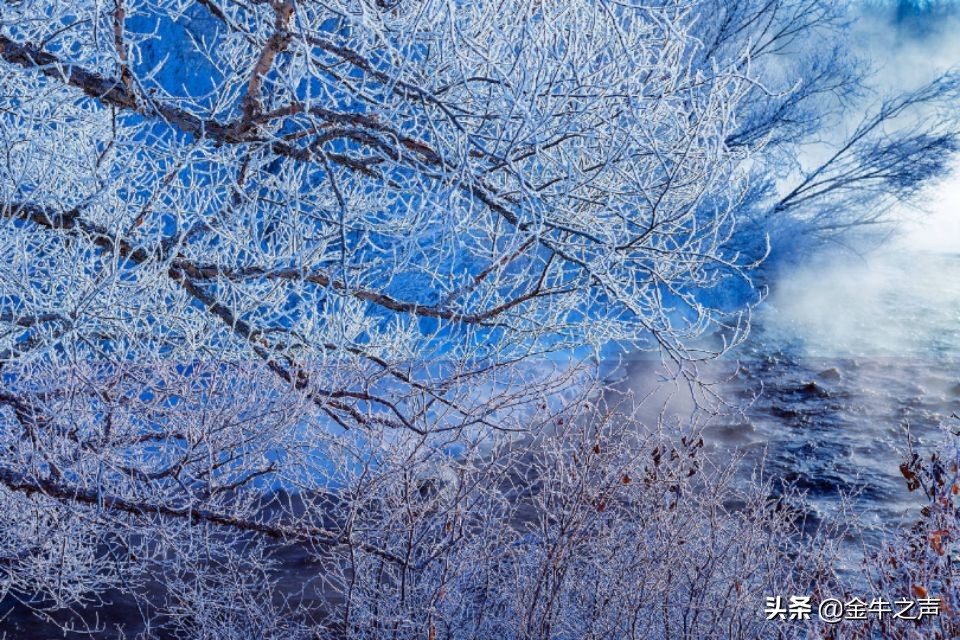 诵读国学传诵经典,关于国学经典传诵的视频