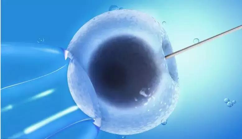 冻卵并非唯一选择,为什么越来越多女性选择冻卵