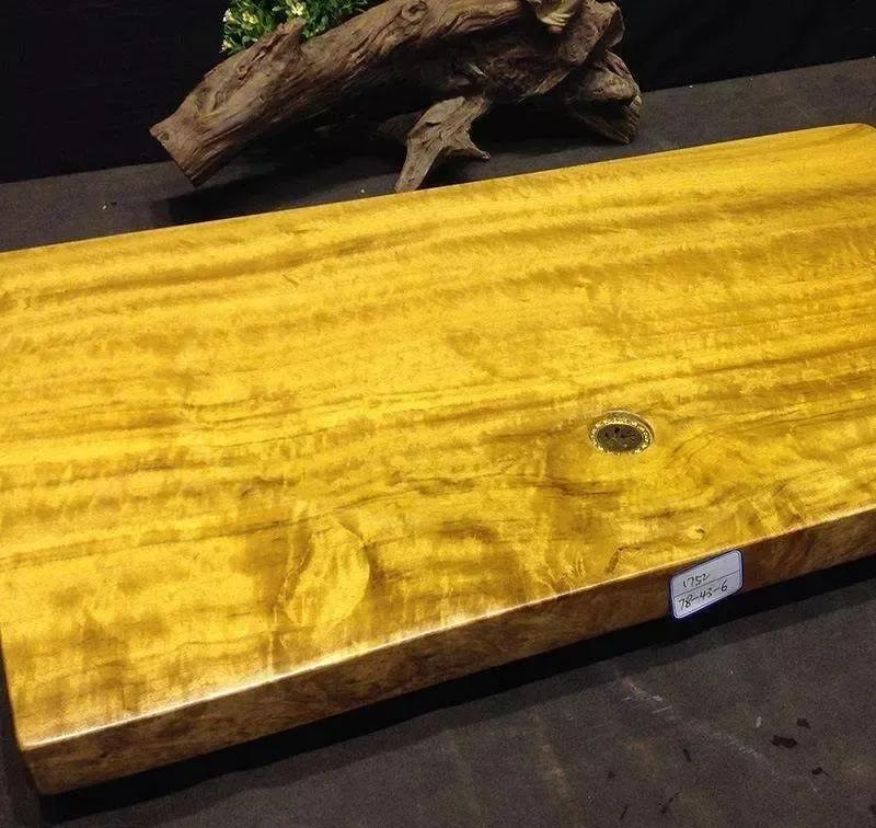 金丝楠木是什么树,10年金丝楠木树