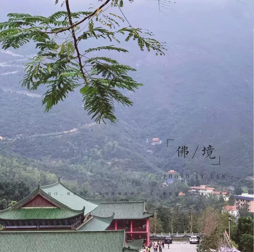 藏于山水间的山野度假酒店,天目湖温泉度假酒店推荐