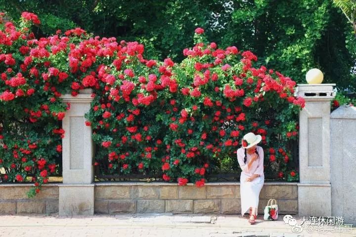 拍照圣地网红打卡大连,大连网红打卡地景点拍照