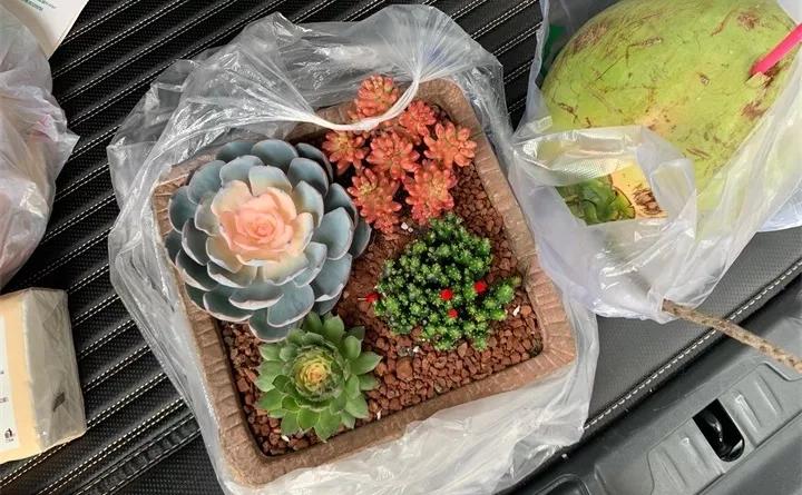 刚买的花，发蔫落苞加黄叶！为什么呢？多半是放错了位置