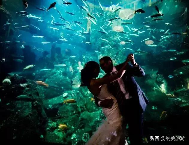 相约旅游景点大全,相约西双版纳旅游攻略