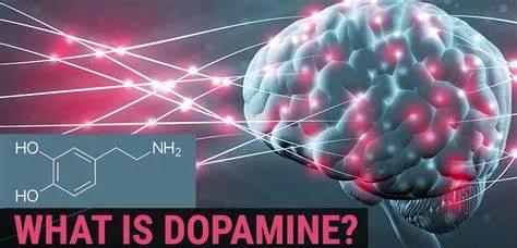 一个月训练强度大却没效果,为什么坚持三个月训练没有变化