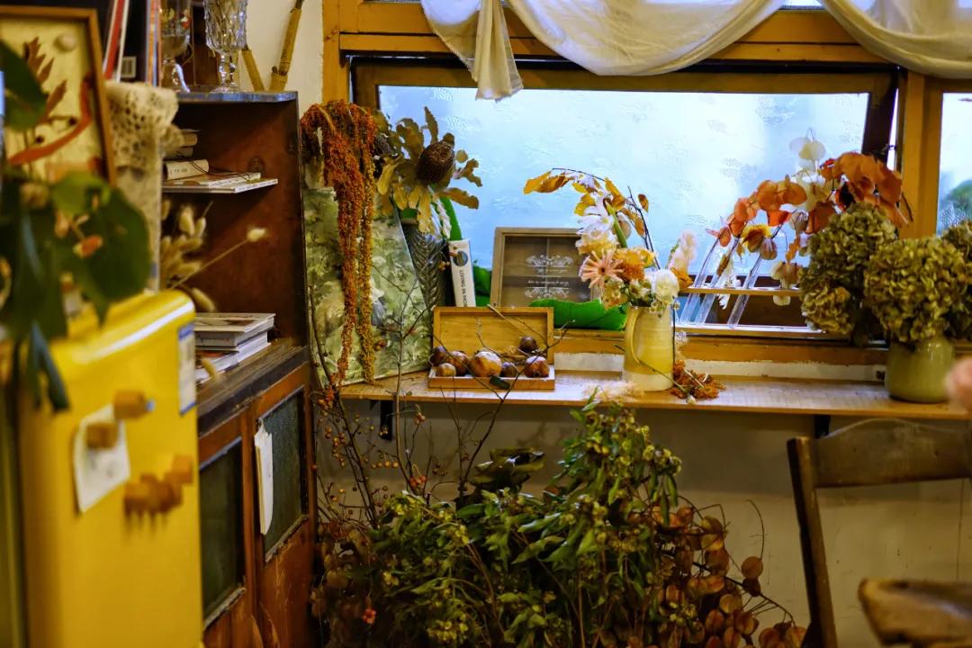 成都两个小姑娘开的老房子花艺杂货铺，外地游客不远千里专程打卡