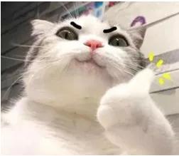 万国觉醒黑楼兰互捶视频,万国觉醒黑楼兰被清零