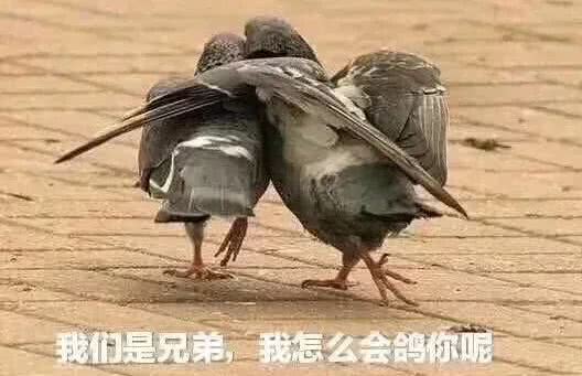 鞋贩子的心声,我是一个鞋贩子