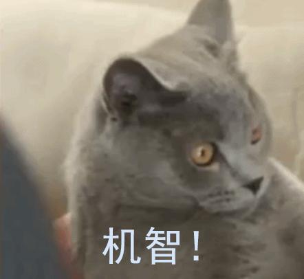 夏天凉爽好物推荐,让人凉快的礼物