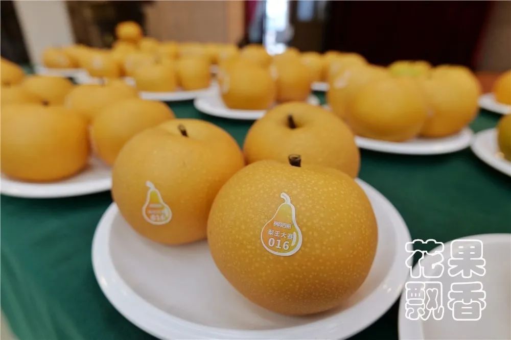 一位企业家的成功之路,企业家要有仰望星空的格局与胸襟