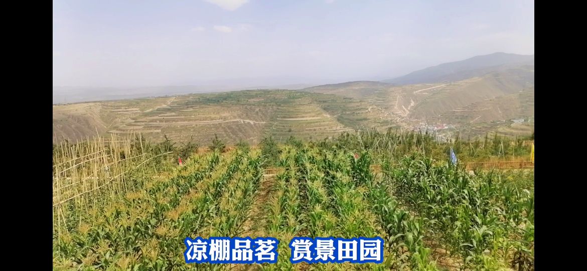 西固公园生态园,兰州周边生态园推荐