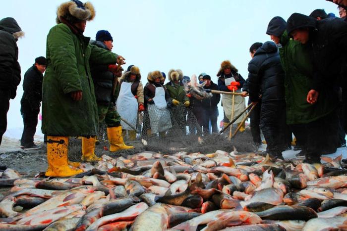 查干湖冬捕长达40天，胖头鱼堆积成山，千万游客在现场参观买鱼