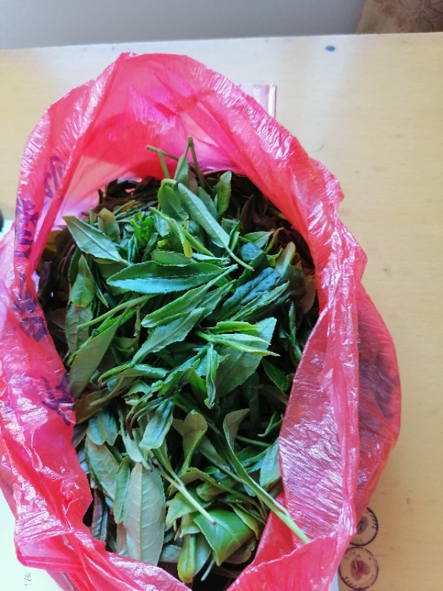 家用电锅可以炒茶吗怎么炒,用电饭锅炒茶叶可以吗视频