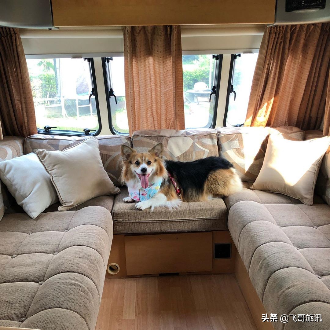 香港露营基地推荐,香港露营住宿攻略