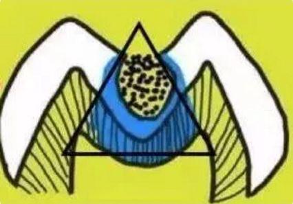 大连齿医生口腔科普,口腔科普大连做补牙一般要多少钱