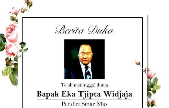 泉州洛江黄奕聪,黄奕聪洛江