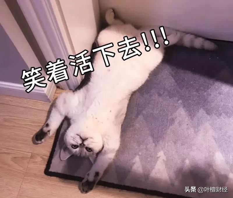 叶檀富豪榜,叶檀财经故事