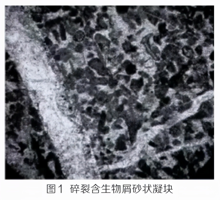 区域矿产资源的综合开发与利用,新疆和田昆仑山脉金矿