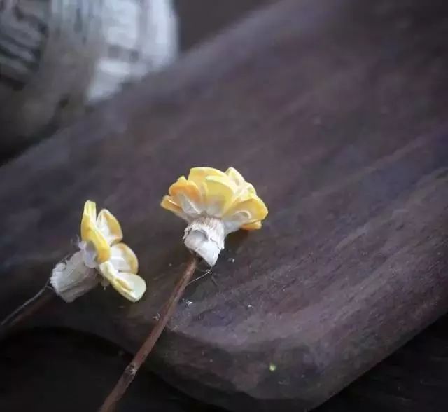 深山老林自建豪华木屋隐居生活,90后小情侣隐居深山建别墅仅花6万