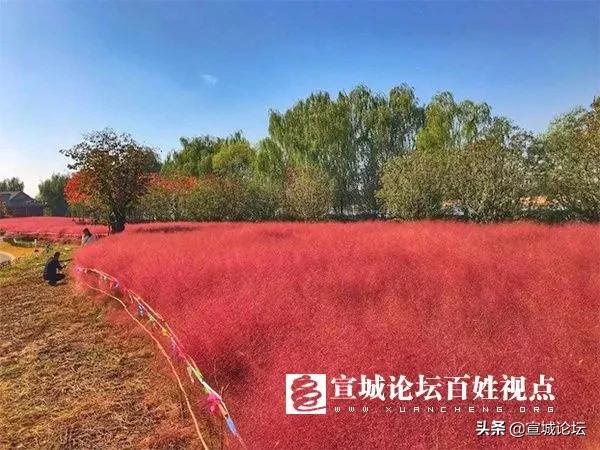 宣城二手车市场大全,宣城5万以下的二手车